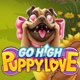 Play Go High Puppy Love slot by RubyPlay on faircrowncasinoo.com
